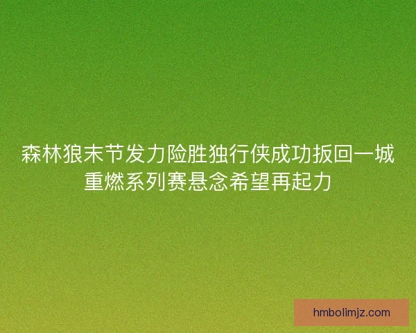 森林狼末节发力险胜独行侠成功扳回一城重燃系列赛悬念希望再起力