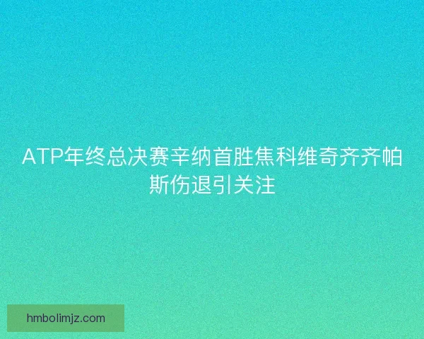ATP年终总决赛辛纳首胜焦科维奇齐齐帕斯伤退引关注
